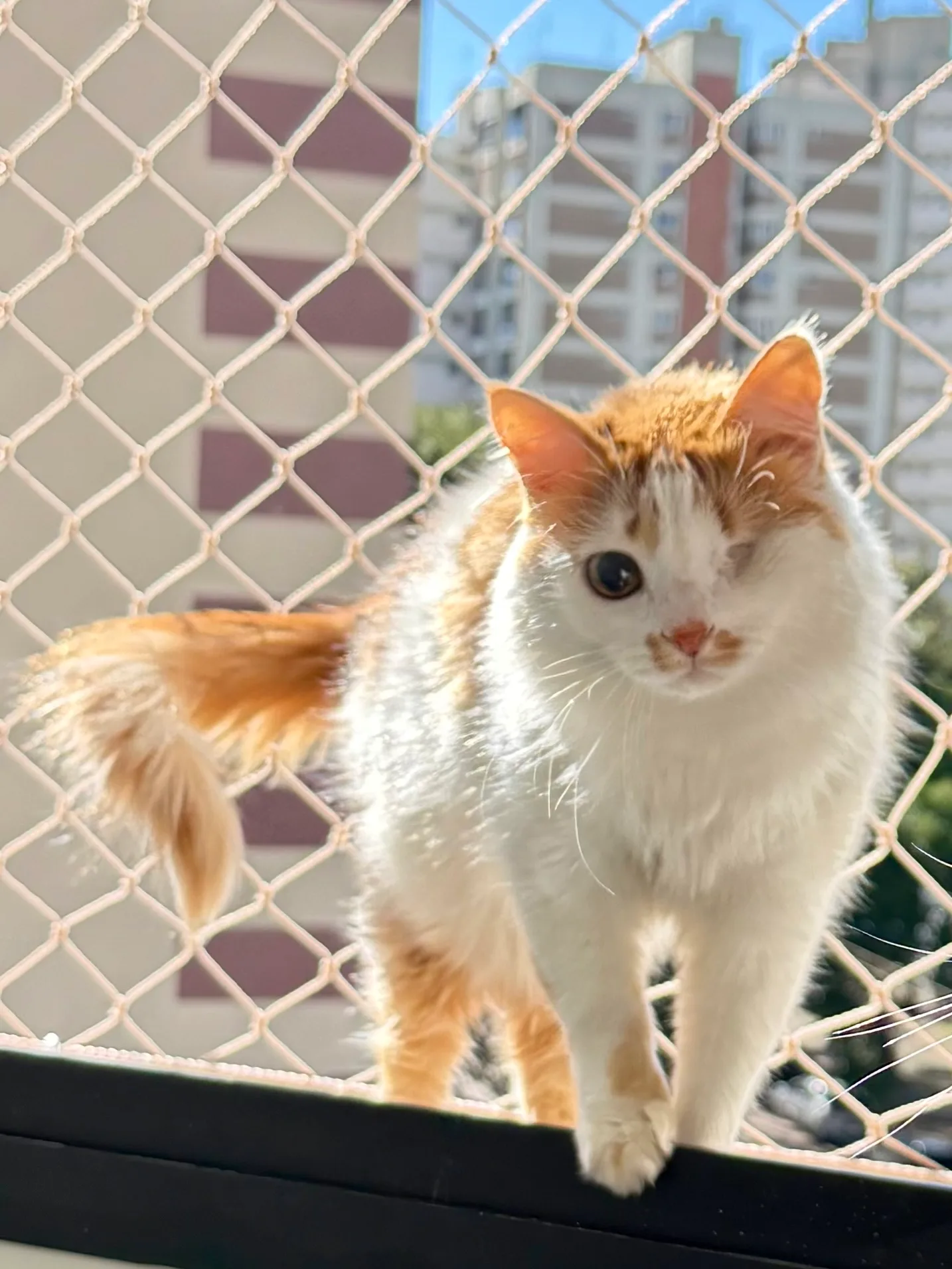 Fred VanCat